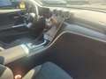 Mercedes-Benz C 300 AMG-Line Premium Panoramaschiebedach AHK Grau - thumbnail 13