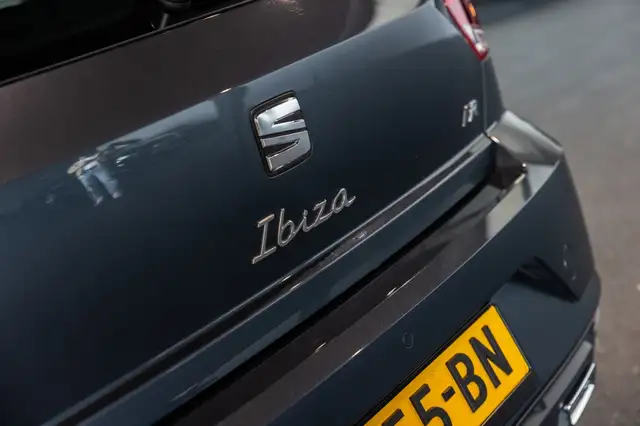 Seat Ibiza view 18
