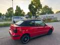 Volkswagen Golf Cabriolet Cabrio 1.9 TDI Comfortline RENTNERFAHRZEUG.TOP Roşu - thumbnail 8