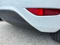 Ford Fiesta Fiesta VI PLUS 5p 1.0 80cv Bianco - thumbnail 8