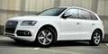 Audi Q5 2.0 TDI clean diesel/ultra (110 kW) Neuwertig Weiß - thumbnail 3