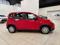 Fiat Panda 1.0 FireFly S&S Hybrid Rot - thumbnail 5
