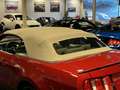 Ford Mustang USA Convertible 4.0i V6 Premium 214PK Automaat Rot - thumbnail 29