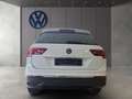 Volkswagen Tiguan 1.5 TSI Life Navi Panoramadach Sitzheizun Weiß - thumbnail 7