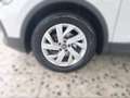 Volkswagen Tiguan 1.5 TSI Life Navi Panoramadach Sitzheizun Weiß - thumbnail 5
