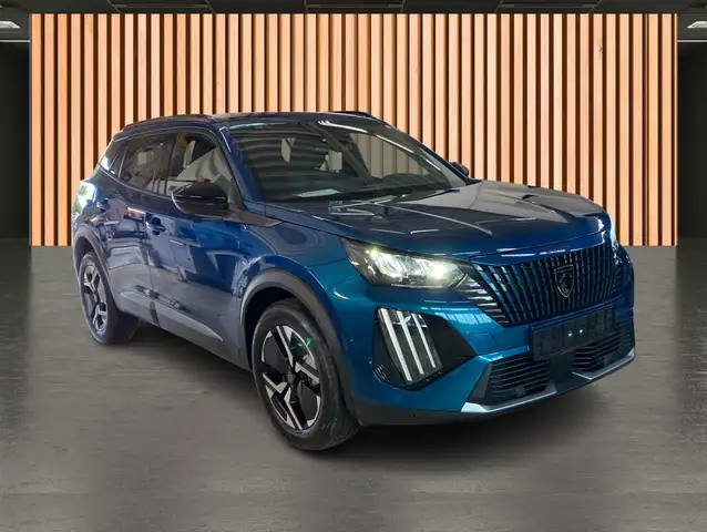 Peugeot 2008 view 19