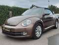 Volkswagen Beetle 1 an de garantie Barna - thumbnail 2