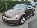 Volkswagen Beetle 1 an de garantie Brown - thumbnail 1