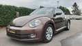 Volkswagen Beetle 1 an de garantie Brown - thumbnail 13