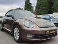 Volkswagen Beetle 1 an de garantie Bruin - thumbnail 4