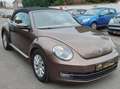 Volkswagen Beetle 1 an de garantie Bruin - thumbnail 3