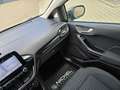 Ford Fiesta Titanium*Kamera*Winter*Led*Autom.* Grau - thumbnail 36