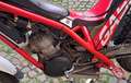 Gas Gas TXT 300 Rot - thumbnail 6