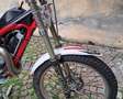 Gas Gas TXT 300 Rot - thumbnail 4