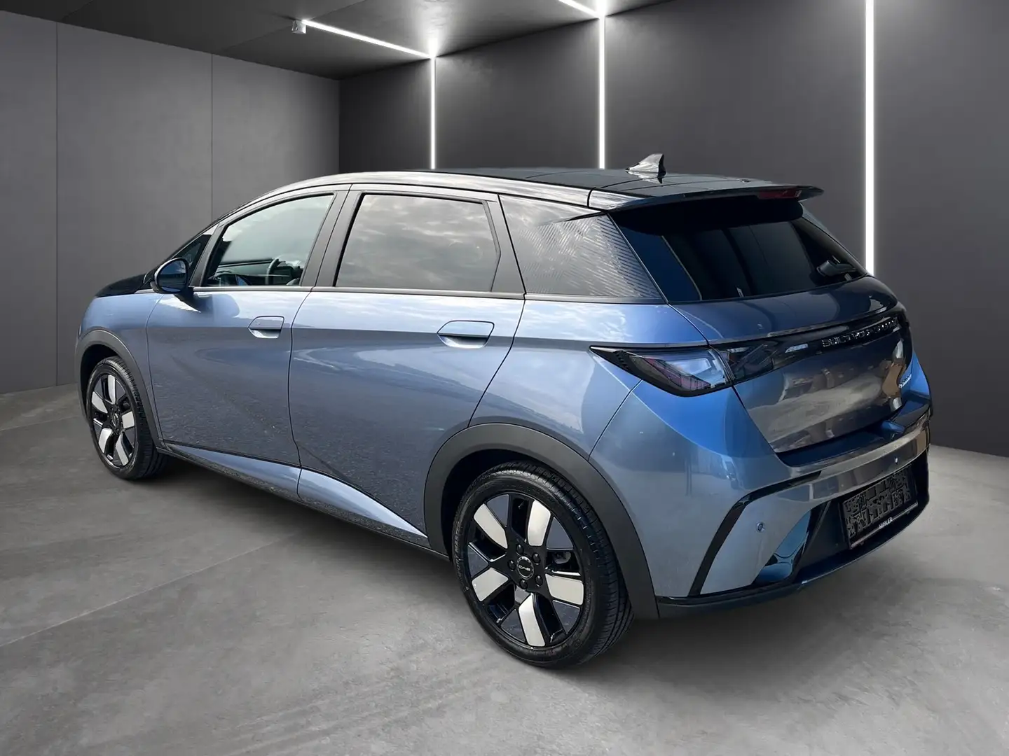 BYD Dolphin Design Grau - 2