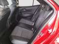 Toyota Corolla 1.8 HYBRID STYLE E-CVT 122 5PT Rojo - thumbnail 11