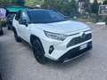 Toyota RAV 4 Rav4 2.5 vvt-ie h Active 2wd 218cv e-cvt Bianco - thumbnail 5
