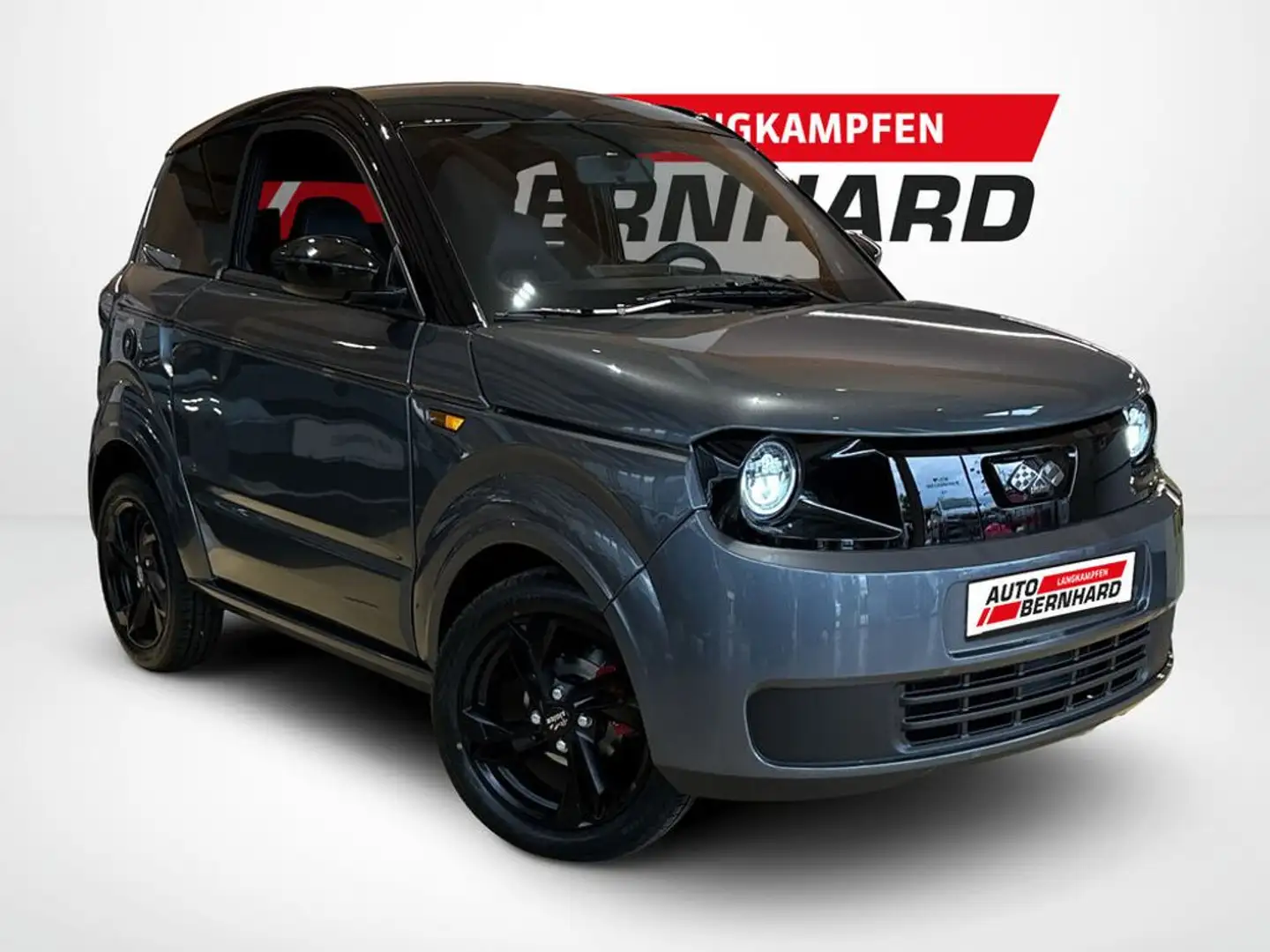 Ligier Myli Mein MAX Diesel REVO D+ Schwarz - 1
