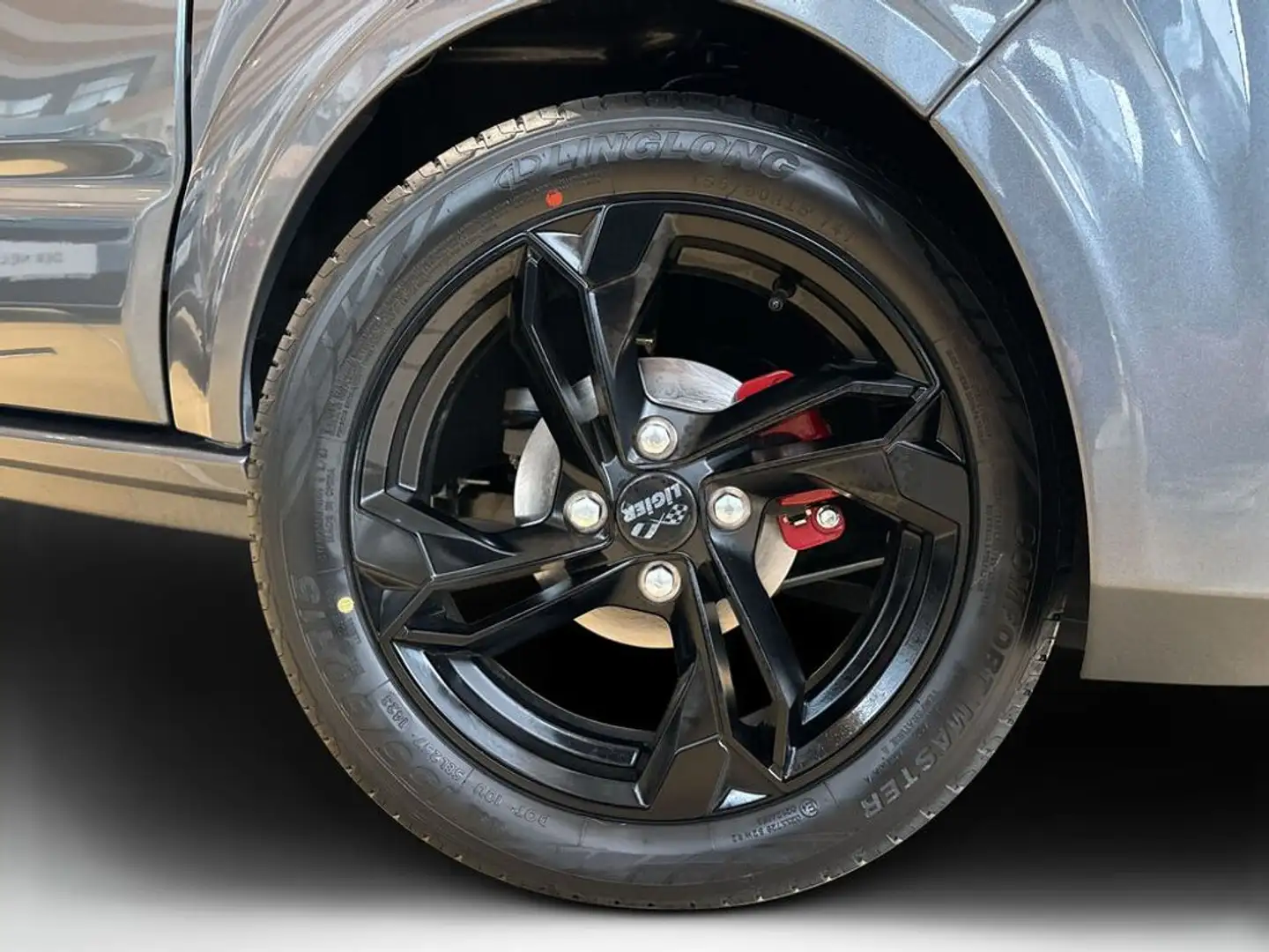 Ligier Myli Mein MAX Diesel REVO D+ Schwarz - 2