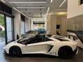 Lamborghini Aventador Superveloce 6.5 V12 LP 750-4 Weiß - thumbnail 2
