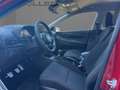 Hyundai BAYON 1.0 T-GDI Trend +Wide+LED+Navi+Cam+PTS+SHZ Rosso - thumbnail 6