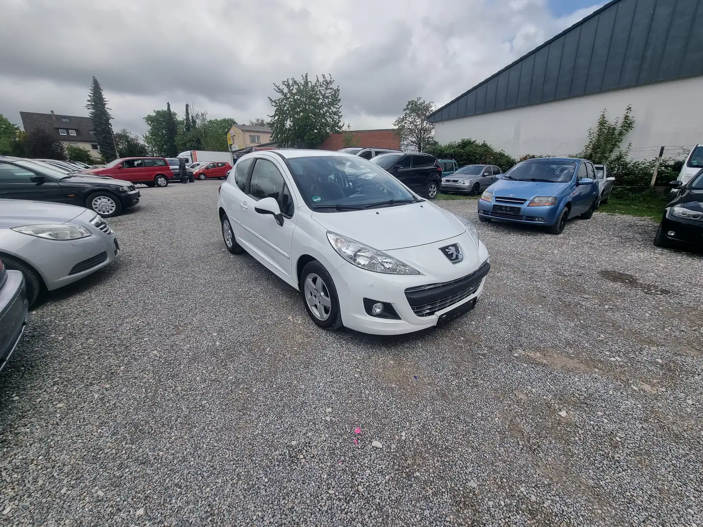 Peugeot 207 PDC Teilleder Bianco - 1