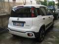 Fiat New Panda CROSS 1.0 FIREFLY S-S HYBRID Weiß - thumbnail 13