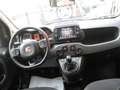 Fiat New Panda CROSS 1.0 FIREFLY S-S HYBRID Weiß - thumbnail 4