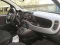 Fiat New Panda CROSS 1.0 FIREFLY S-S HYBRID Weiß - thumbnail 6