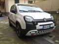 Fiat New Panda CROSS 1.0 FIREFLY S-S HYBRID Weiß - thumbnail 1