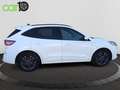 Ford Kuga Trend 1.5T EcoBoost 110kW (150CV) Wit - thumbnail 21