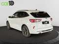 Ford Kuga Trend 1.5T EcoBoost 110kW (150CV) Wit - thumbnail 3