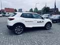 Kia Stonic 1.0 T-GDI 48V Spirit DCT Weiß - thumbnail 5