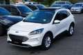 Ford Kuga Titanium *ACC*AHK*PANO*HUD*VIRTUAL*STDHZG* Blanc - thumbnail 1
