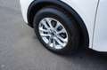Ford Kuga Titanium *ACC*AHK*PANO*HUD*VIRTUAL*STDHZG* Blanc - thumbnail 10