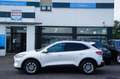 Ford Kuga Titanium *ACC*AHK*PANO*HUD*VIRTUAL*STDHZG* Blanc - thumbnail 2