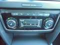 Skoda Superb Combi 2.0 TDI Green tec Exclusive+Xenon - thumbnail 15