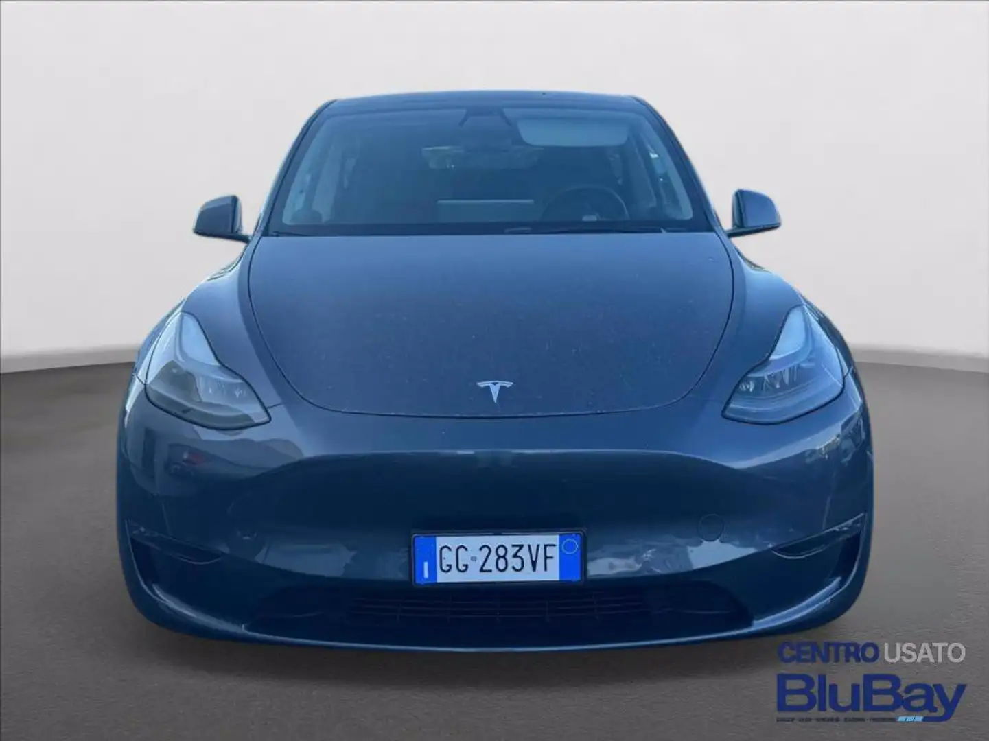 Tesla Model Y Long Range AWD Grigio - 2