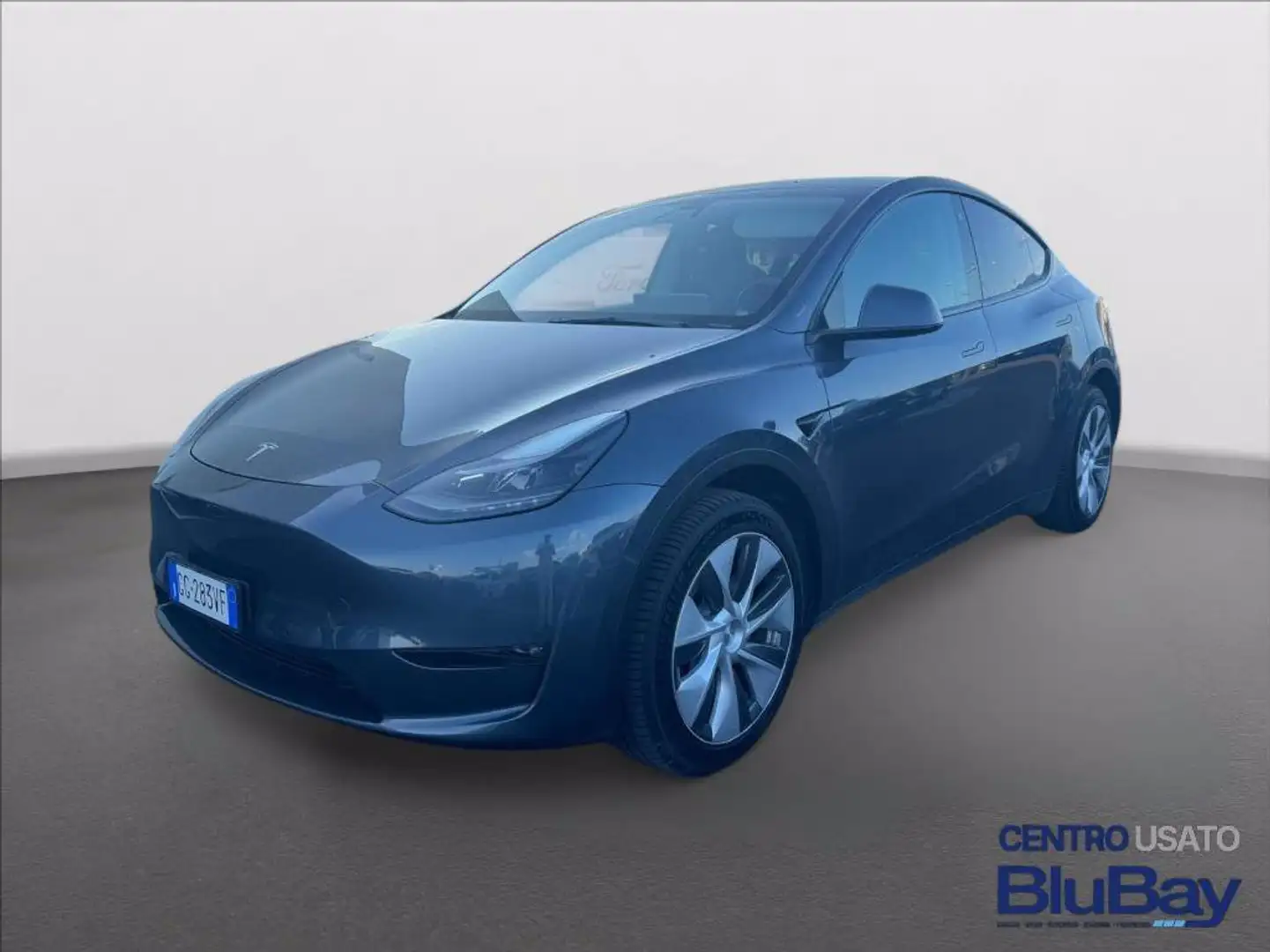Tesla Model Y Long Range AWD Grigio - 1