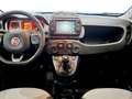 Fiat New Panda Cross 1.0 FireFly Hybrid Schwarz - thumbnail 9