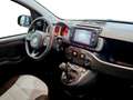 Fiat New Panda Cross 1.0 FireFly Hybrid Schwarz - thumbnail 10