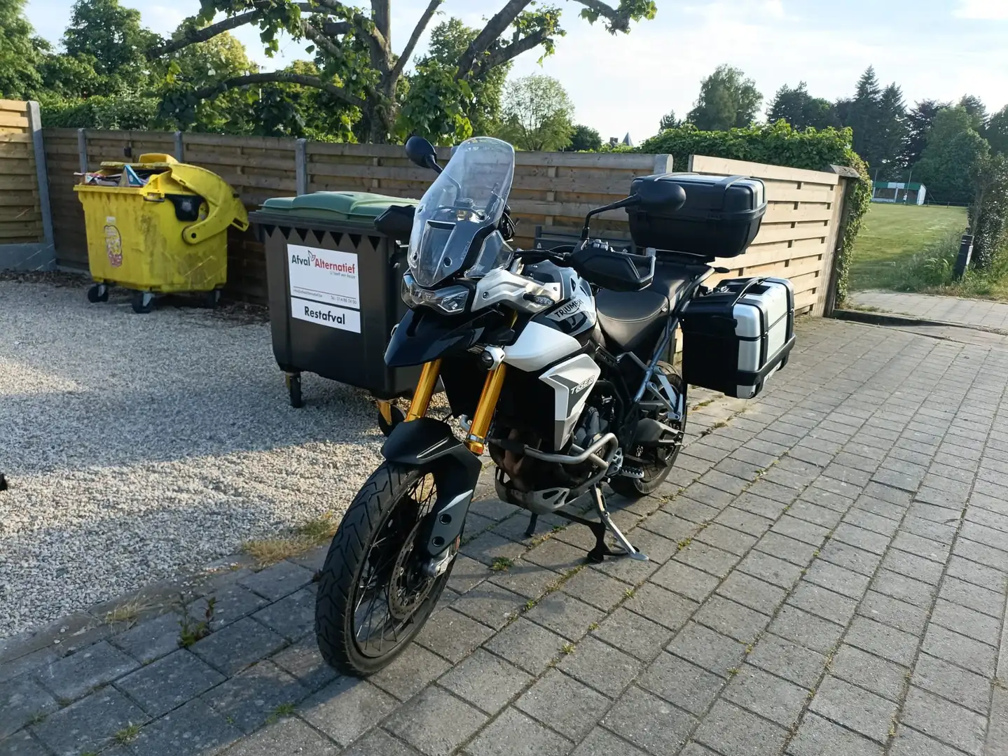 Triumph Tiger 900 Rally Pro Negru - 2