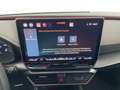 CUPRA Leon 1.5 eTSI DSG Schwarz - thumbnail 31