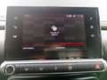 Citroen C4 Cactus Feel Blanco - thumbnail 16