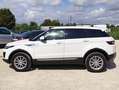 Land Rover Range Rover Evoque 5p 2.0 eD4 110 kW Blanco - thumbnail 10