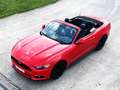 Ford Mustang Mustang Cabrio 2.3 Eco Boost Rood - thumbnail 17