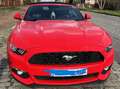Ford Mustang Mustang Cabrio 2.3 Eco Boost Rood - thumbnail 2