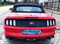 Ford Mustang Mustang Cabrio 2.3 Eco Boost Rouge - thumbnail 5