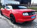 Ford Mustang Mustang Cabrio 2.3 Eco Boost Rouge - thumbnail 4