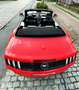 Ford Mustang Mustang Cabrio 2.3 Eco Boost Rouge - thumbnail 14